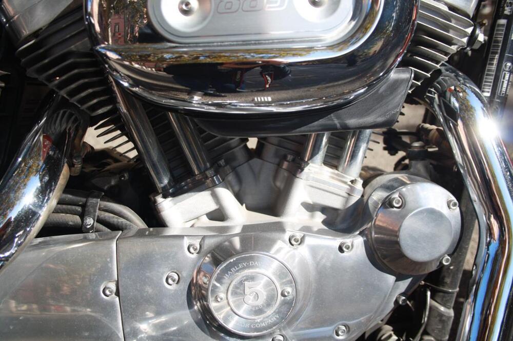 Harley-Davidson 883 Low (2008 - 12) - XL 883L (30)