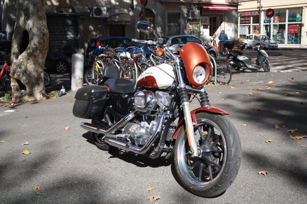 Harley-Davidson 883 Low (2008 - 12) - XL 883L (7)