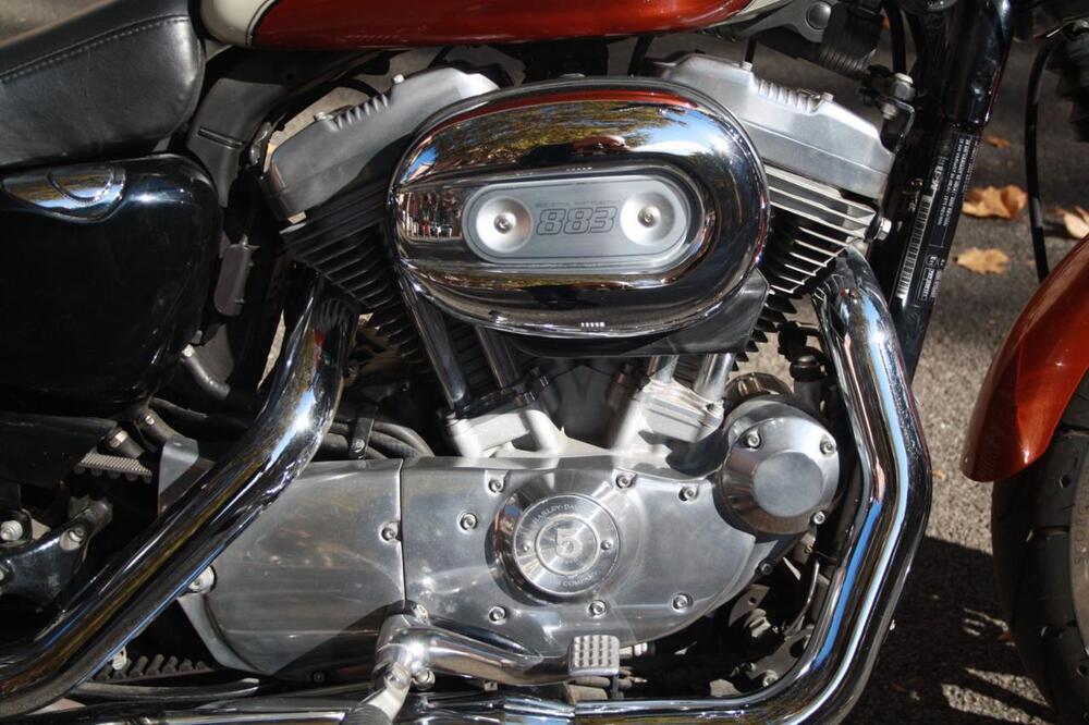 Harley-Davidson 883 Low (2008 - 12) - XL 883L (19)