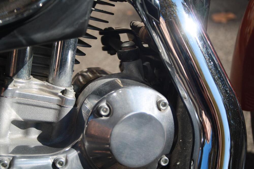 Harley-Davidson 883 Low (2008 - 12) - XL 883L (31)