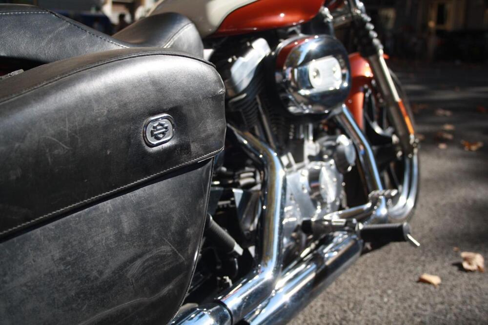 Harley-Davidson 883 Low (2008 - 12) - XL 883L (20)