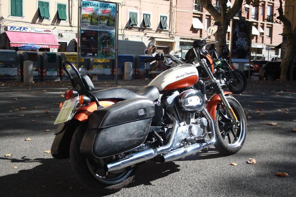 Harley-Davidson 883 Low (2008 - 12) - XL 883L (8)