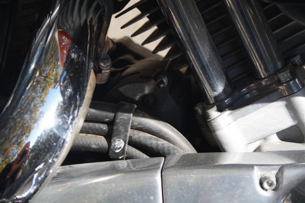 Harley-Davidson 883 Low (2008 - 12) - XL 883L (32)