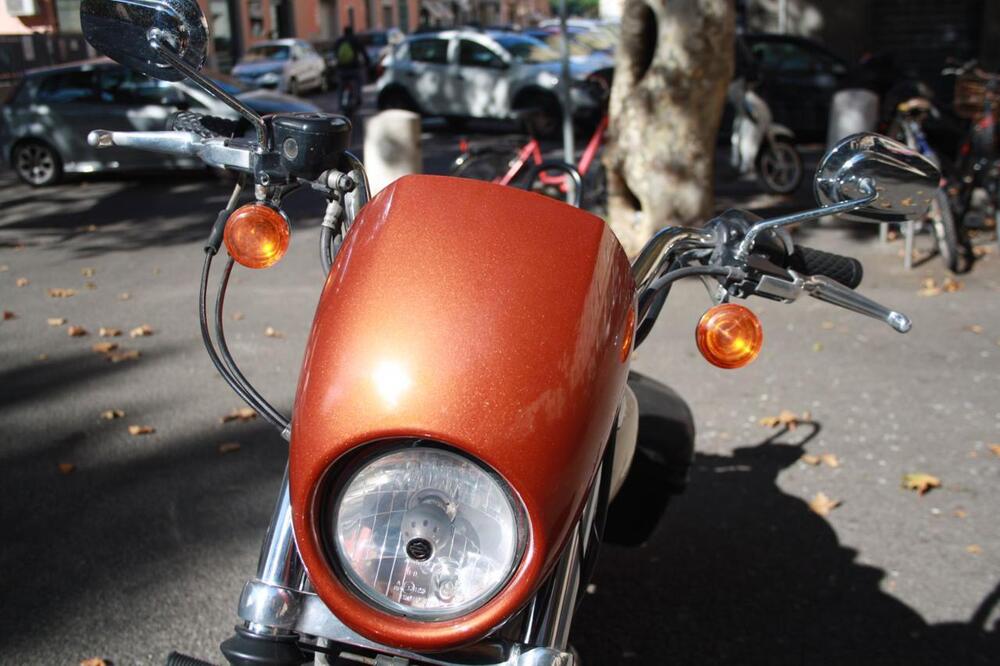 Harley-Davidson 883 Low (2008 - 12) - XL 883L (44)