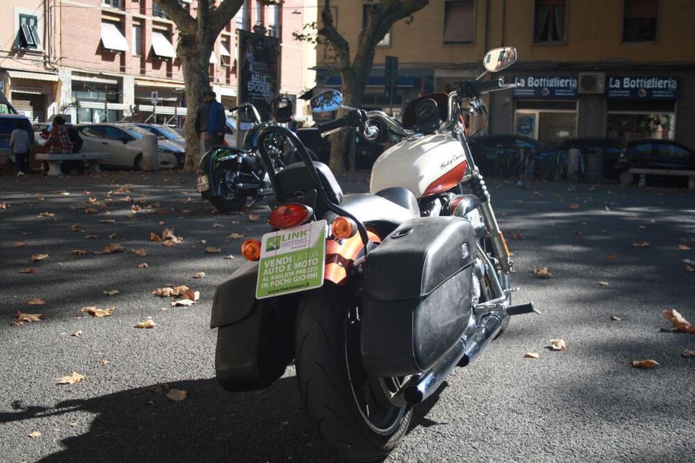 Harley-Davidson 883 Low (2008 - 12) - XL 883L (9)