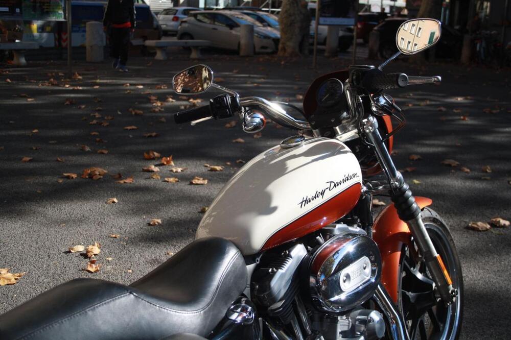 Harley-Davidson 883 Low (2008 - 12) - XL 883L (55)