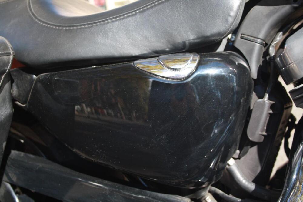 Harley-Davidson 883 Low (2008 - 12) - XL 883L (33)