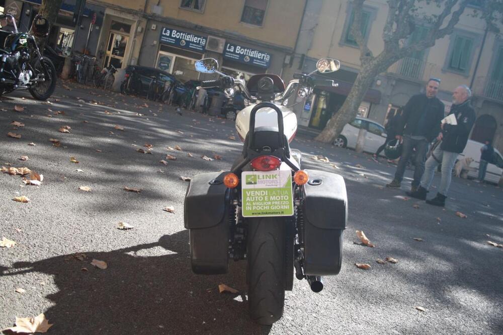 Harley-Davidson 883 Low (2008 - 12) - XL 883L (11)