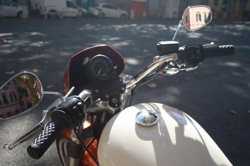 Harley-Davidson 883 Low (2008 - 12) - XL 883L (57)