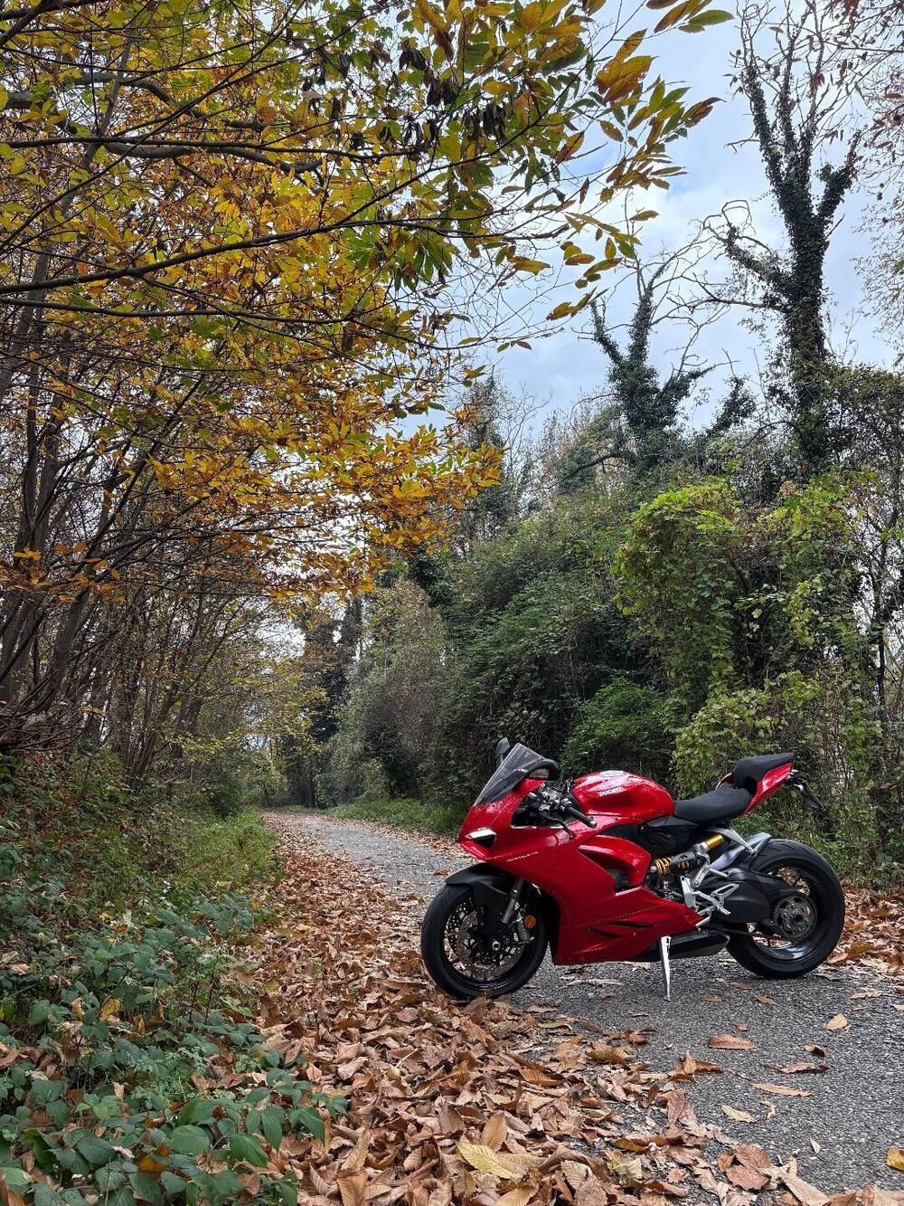 Ducati Panigale V2 (2021 - 24) (5)