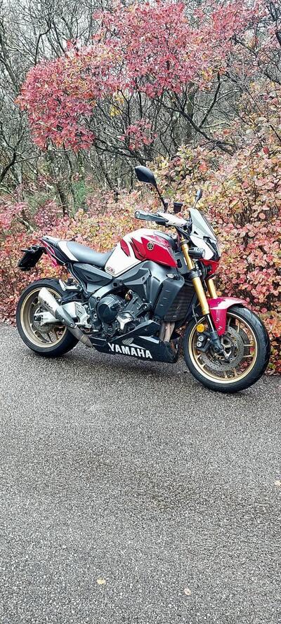 Yamaha MT-09 SP (2021 - 23) usata