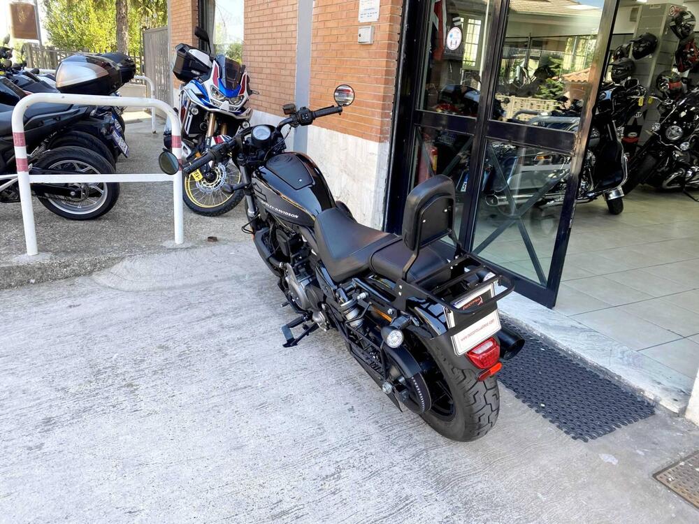 Harley-Davidson Nightster (2023 - 25) (6)