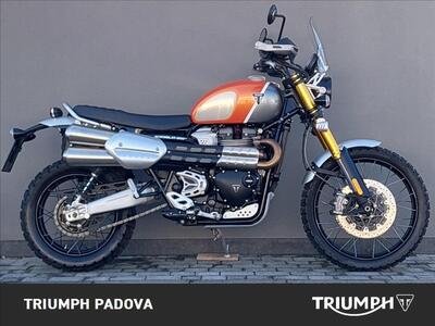Triumph Scrambler 1200 XE Gold Line Edition (2021 - 22) usata