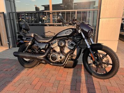 Harley-Davidson Nightster (2023 - 25) usata