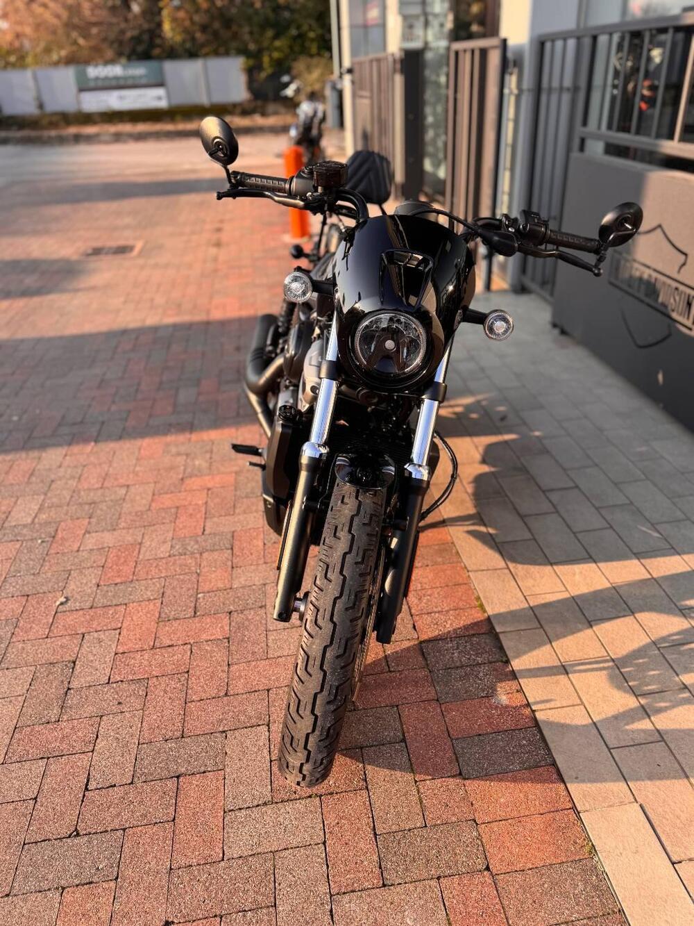 Harley-Davidson Nightster (2023 - 26) (3)