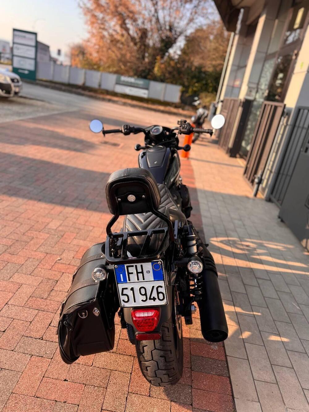 Harley-Davidson Nightster (2023 - 26) (4)