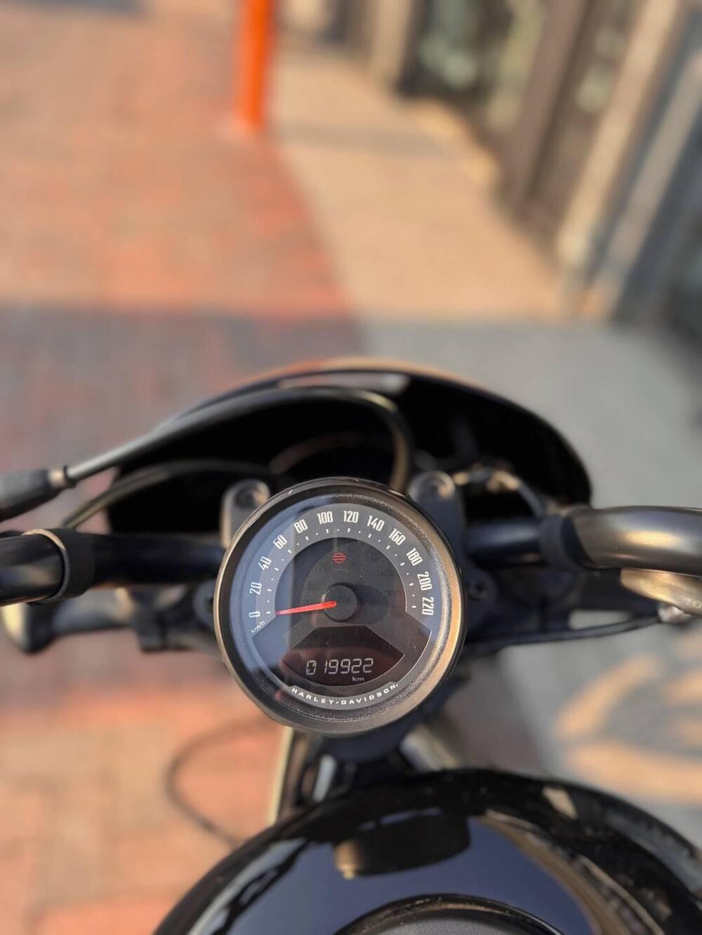 Harley-Davidson Nightster (2023 - 26) (5)