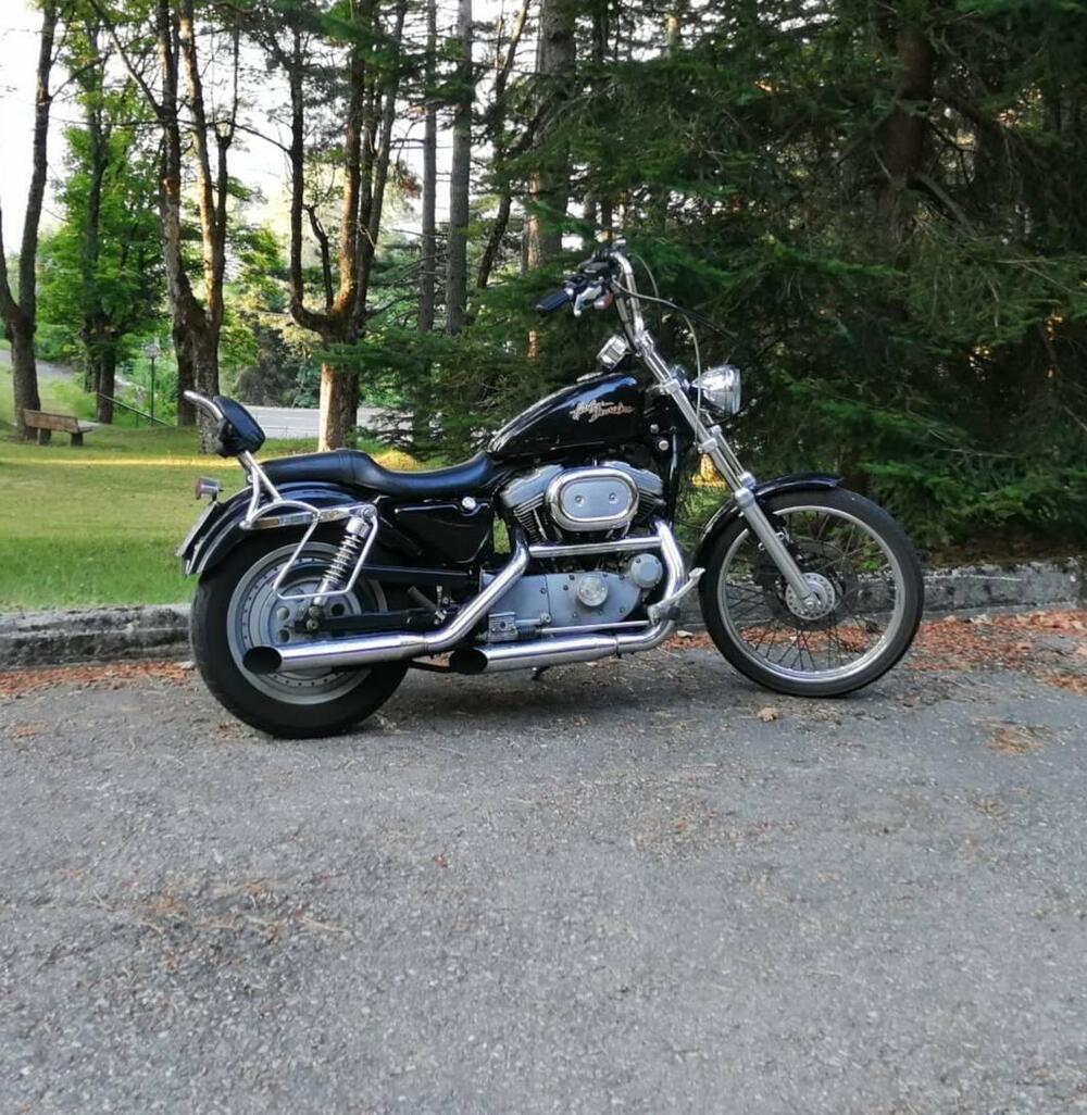 Harley-Davidson 883 Custom (2001 - 05) - XL 53C (2)