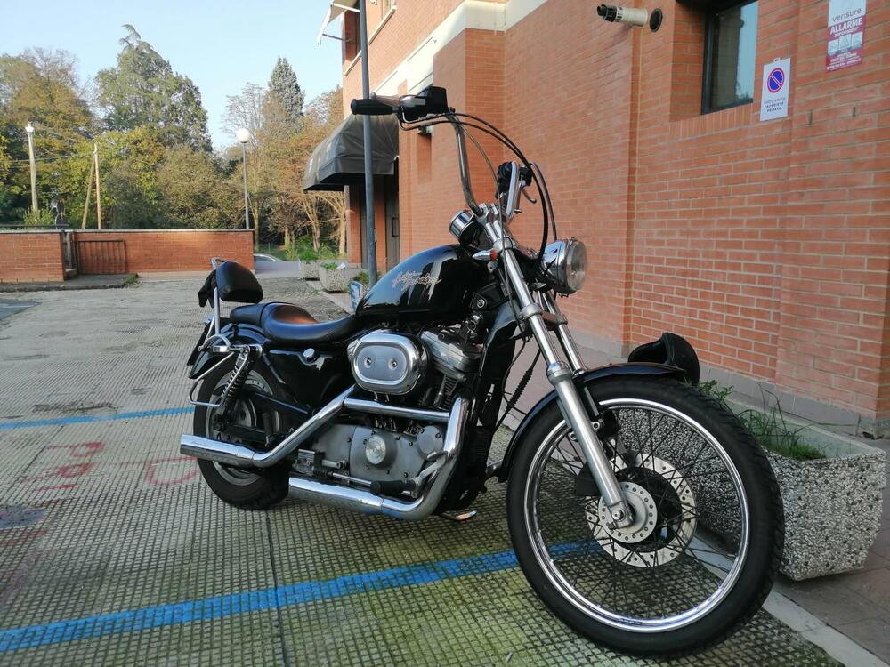 Harley-Davidson 883 Custom (2001 - 05) - XL 53C (6)
