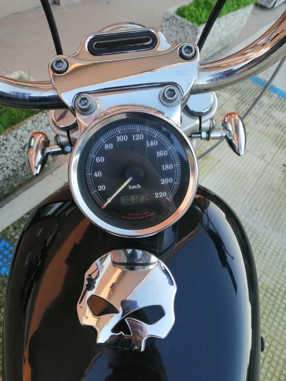 Harley-Davidson 883 Custom (2001 - 05) - XL 53C (11)