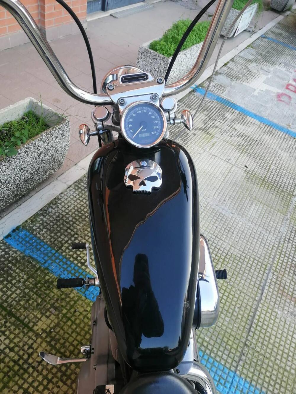 Harley-Davidson 883 Custom (2001 - 05) - XL 53C (12)