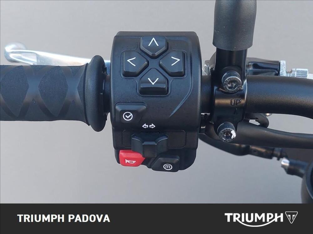 Triumph Trident 660 (2021 - 24) (12)