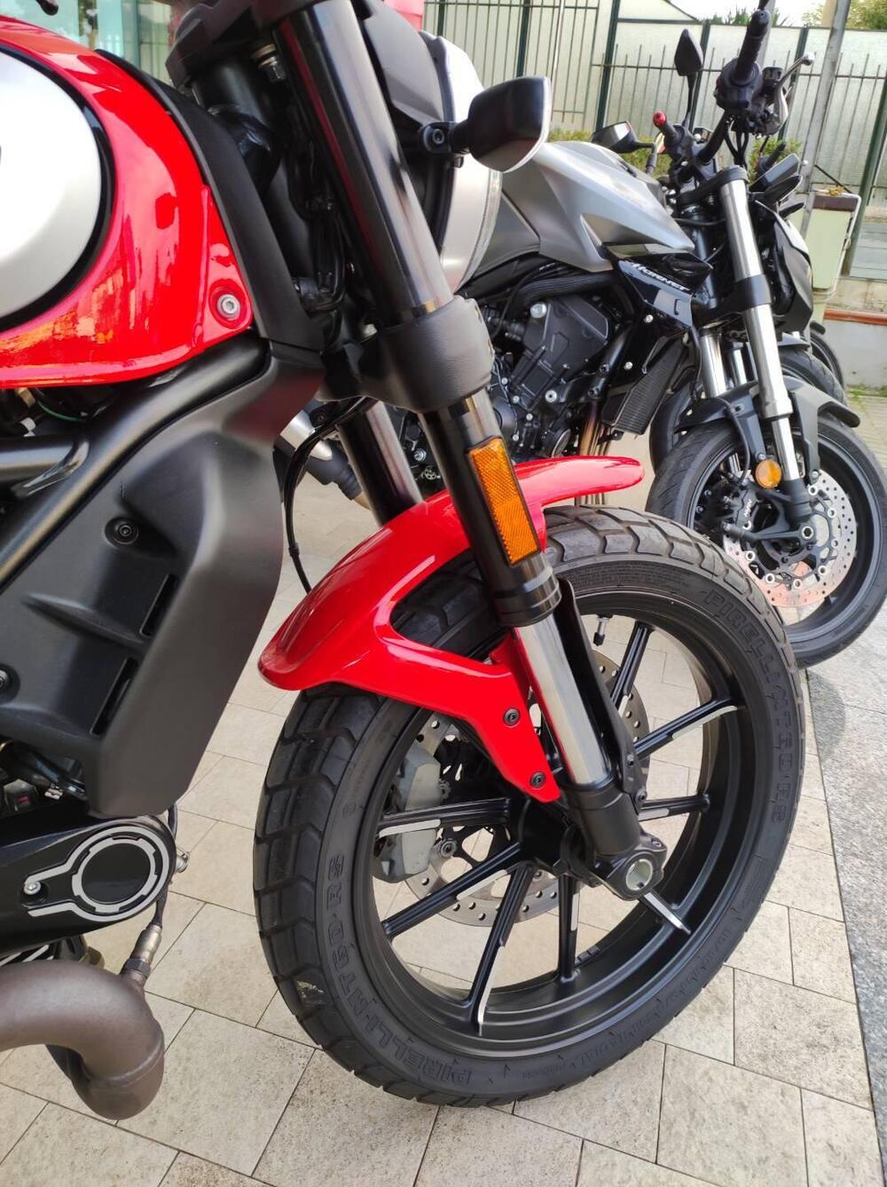 Ducati Scrambler 800 Icon (2021 - 22) (5)
