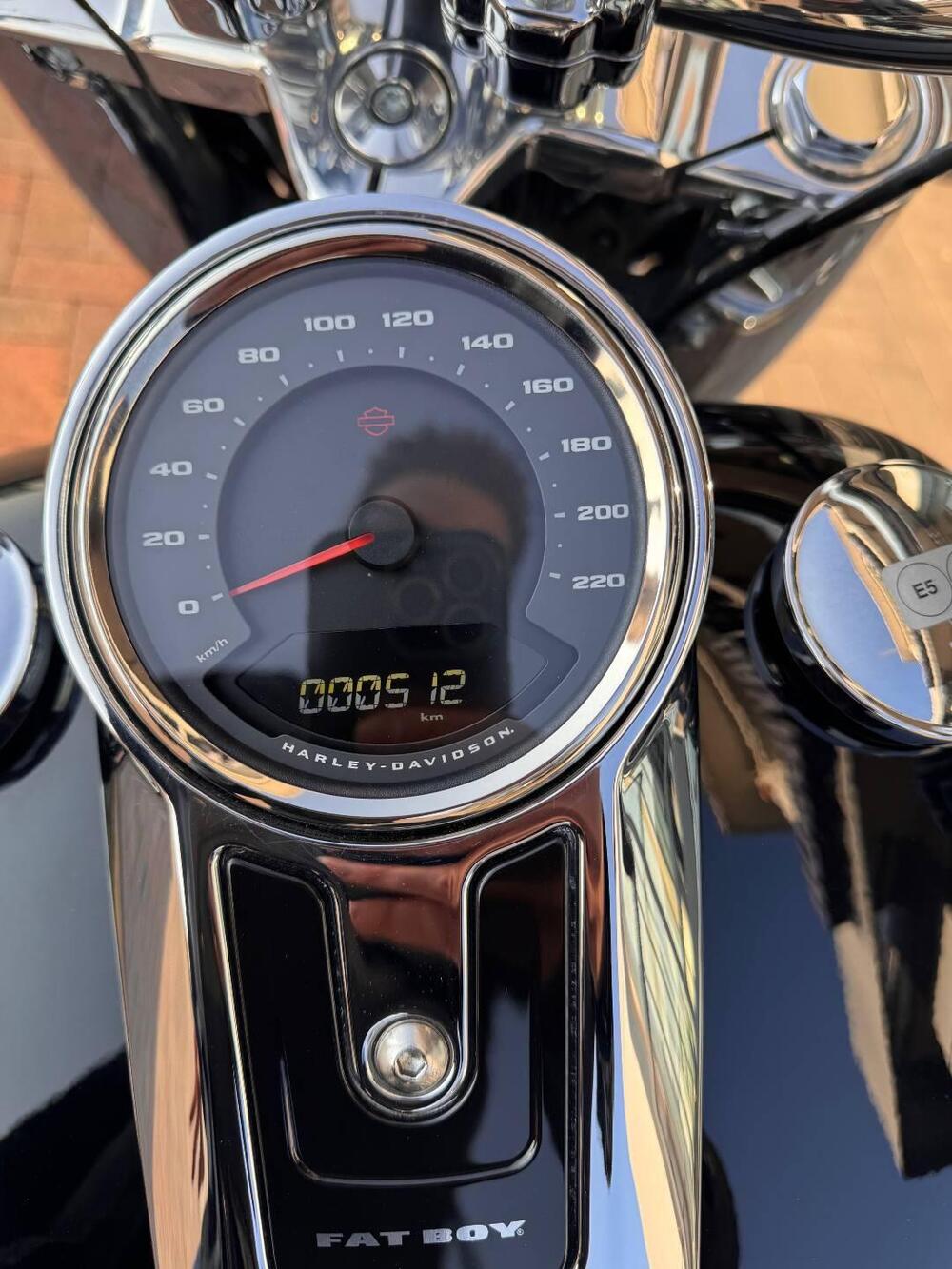 Harley-Davidson Fat Boy 114 (2021 - 24) (5)