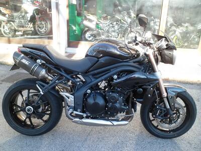 Triumph Speed Triple 1050 (2011 - 13) usata