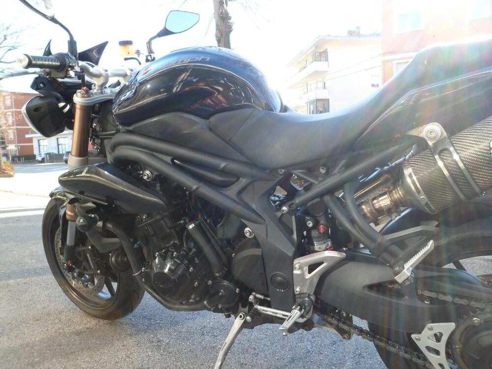 Triumph Speed Triple 1050 (2011 - 13) (6)