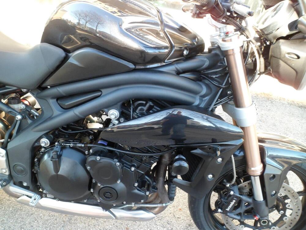 Triumph Speed Triple 1050 (2011 - 13) (10)