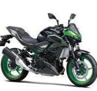 Kawasaki Z 500 SE (2024 - 26) nuova