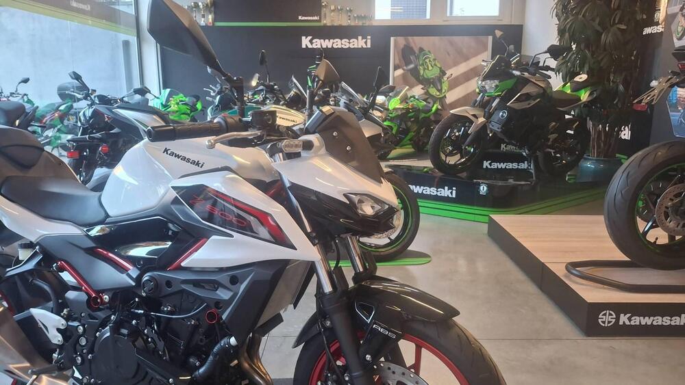 Kawasaki Z 500 SE (2024 - 26) (2)