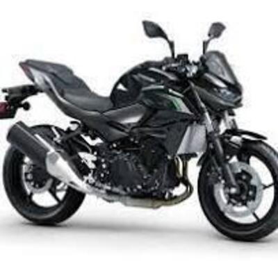 Kawasaki Z 500 (2024 - 26) nuova