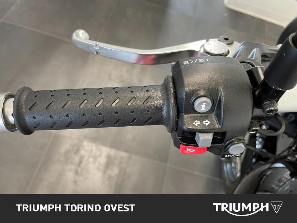 Triumph Scrambler 900 (2023 - 25) (9)