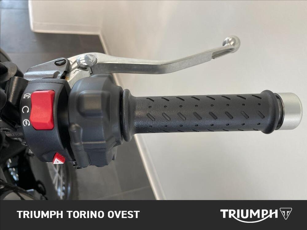 Triumph Scrambler 900 (2023 - 25) (8)