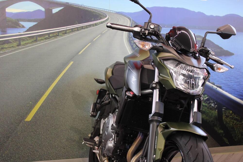 Kawasaki Z 650 (2017 - 19) (10)