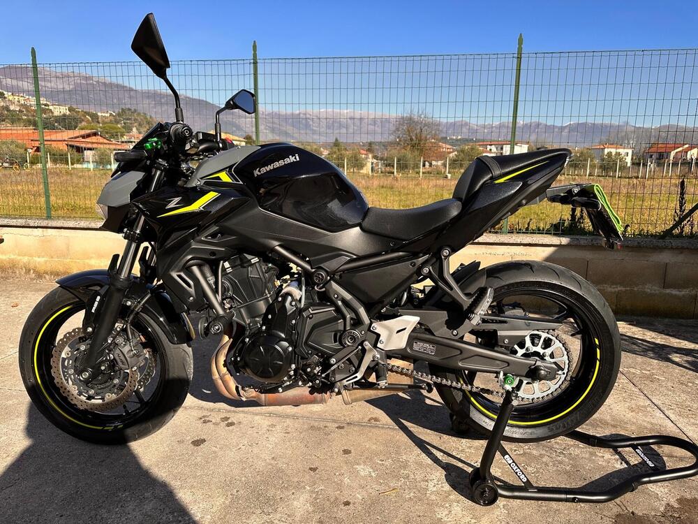 Kawasaki Z 650 Performance (2021 - 24)