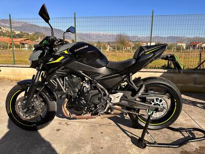 Kawasaki Z 650 Performance (2021 - 24) usata
