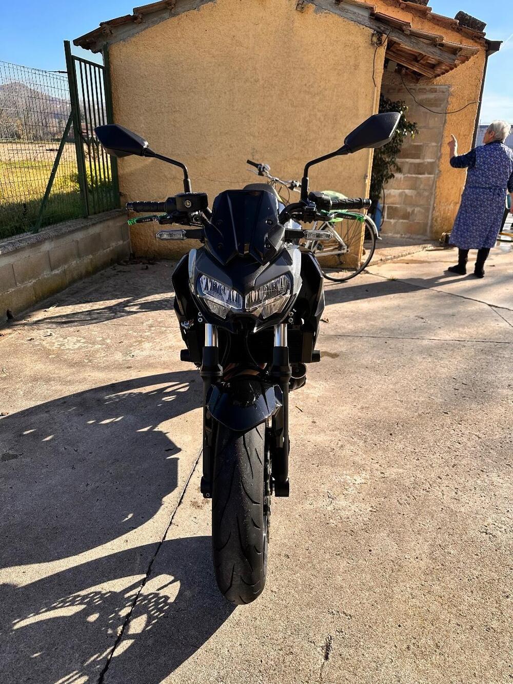 Kawasaki Z 650 Performance (2021 - 24) (3)