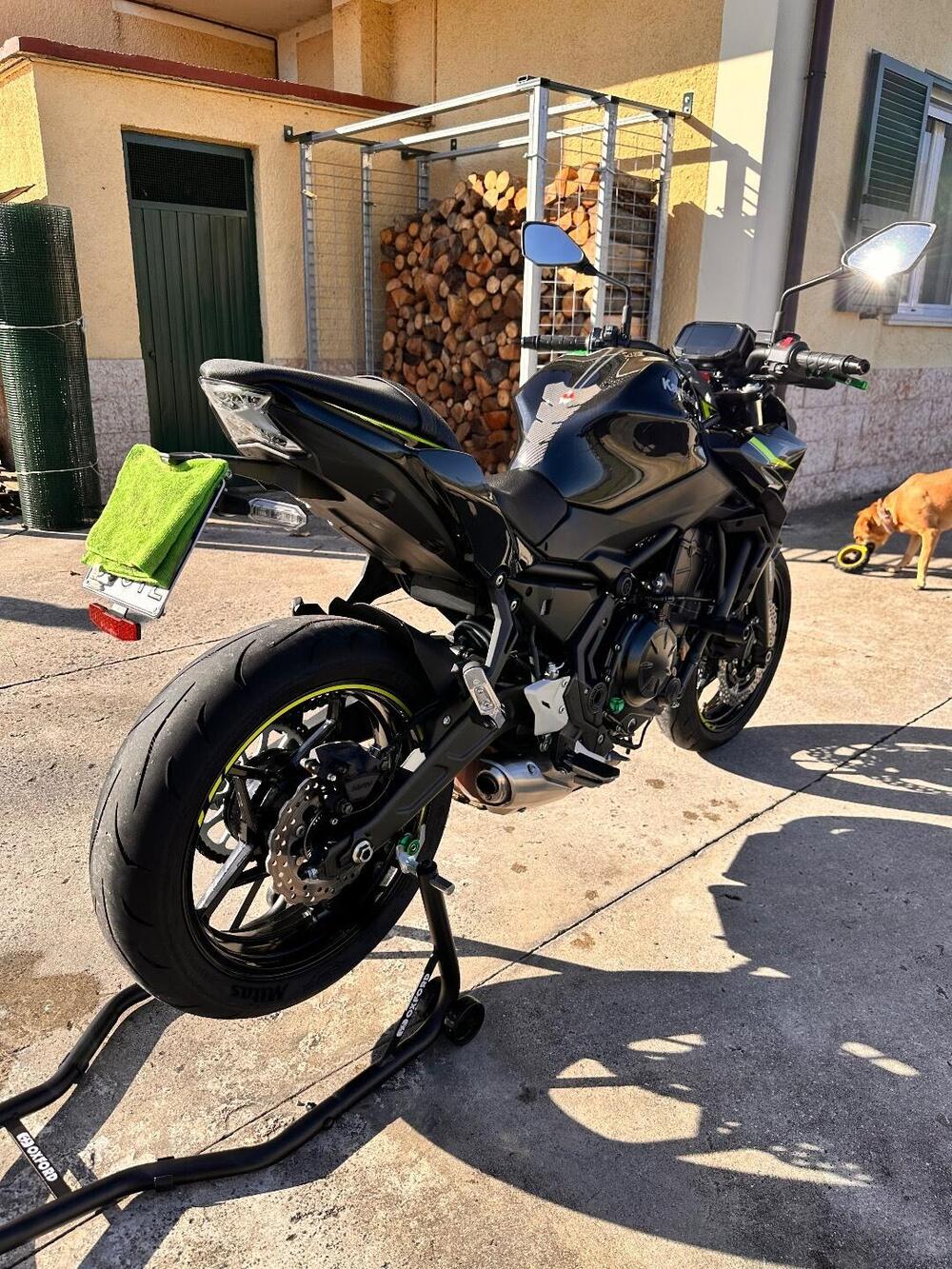 Kawasaki Z 650 Performance (2021 - 24) (5)
