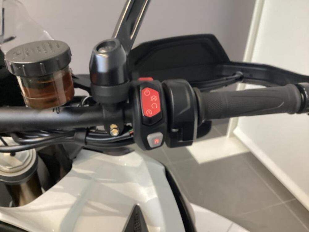 Triumph Tiger 1200 Rally Explorer (2022 - 23) (10)