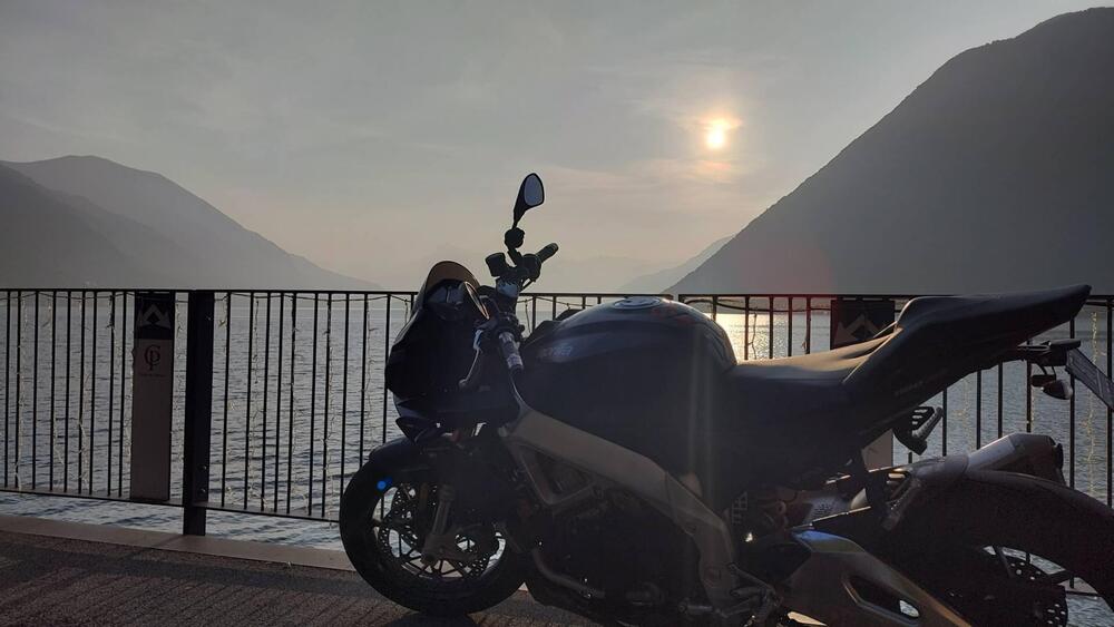 Aprilia Tuono V4 RR (2019 - 20)