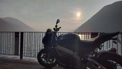 Aprilia Tuono V4 RR (2019 - 20) usata