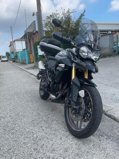 Triumph Tiger 800 XR (2015 - 17) usata