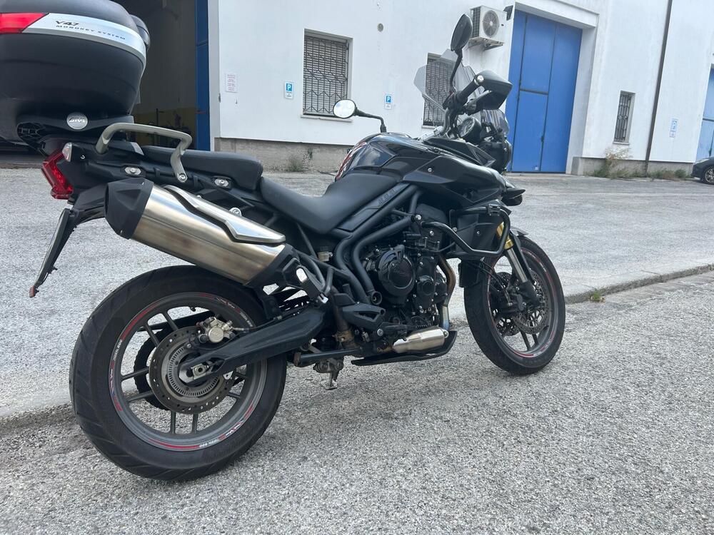 Triumph Tiger 800 XR (2015 - 17) (4)