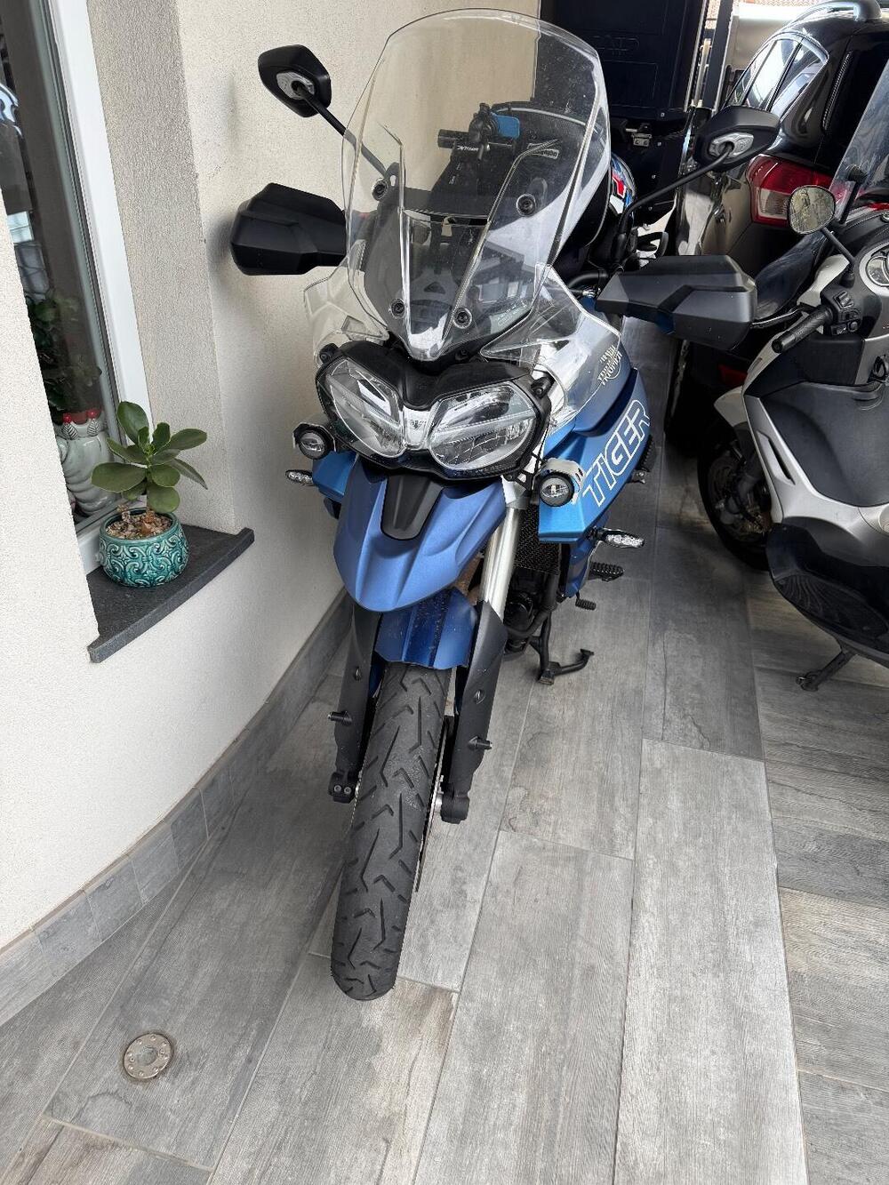Triumph Tiger 800 XRt (2018 - 20)