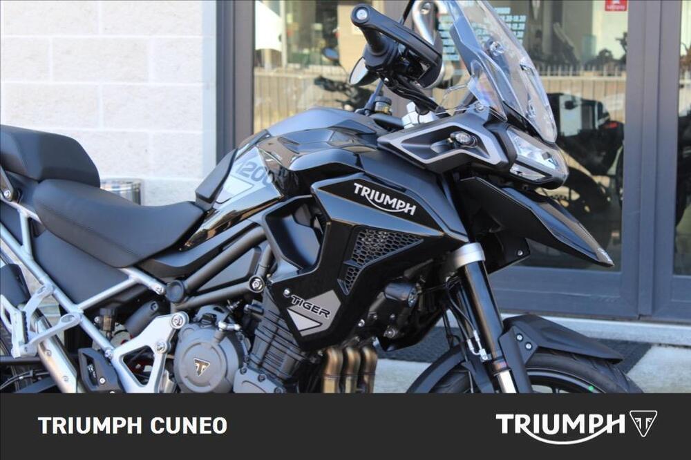 Triumph Tiger 1200 GT Pro (2024 - 25) (3)