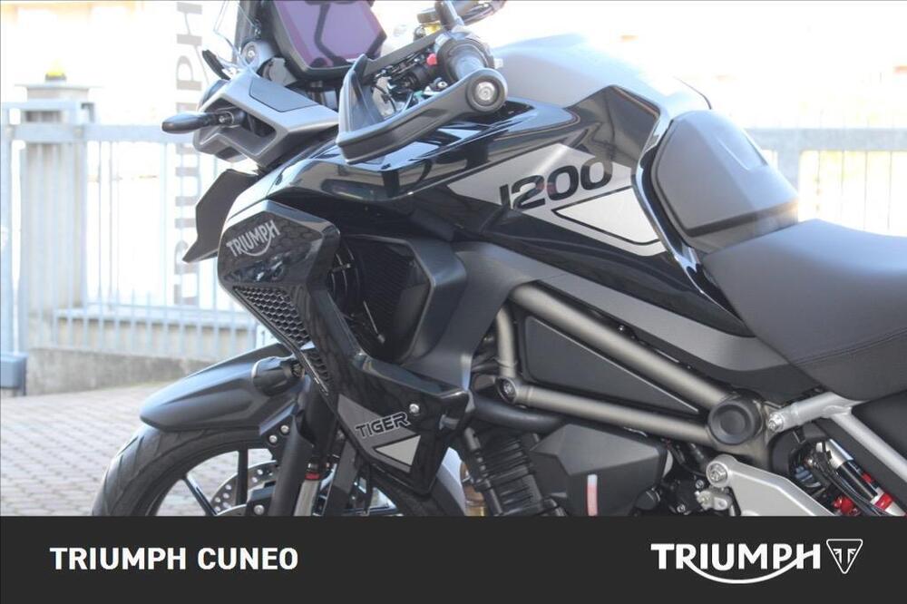 Triumph Tiger 1200 GT Pro (2024 - 25) (6)