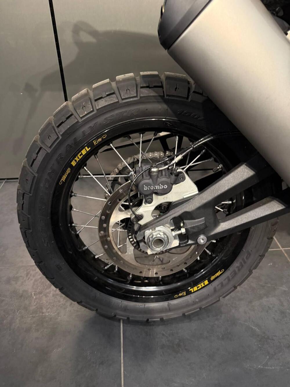 Ducati DesertX Rally (2024 - 25) (13)